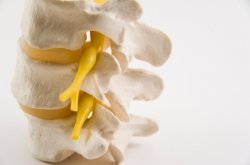 Staten Island chiropractic care relieves back and neck pain